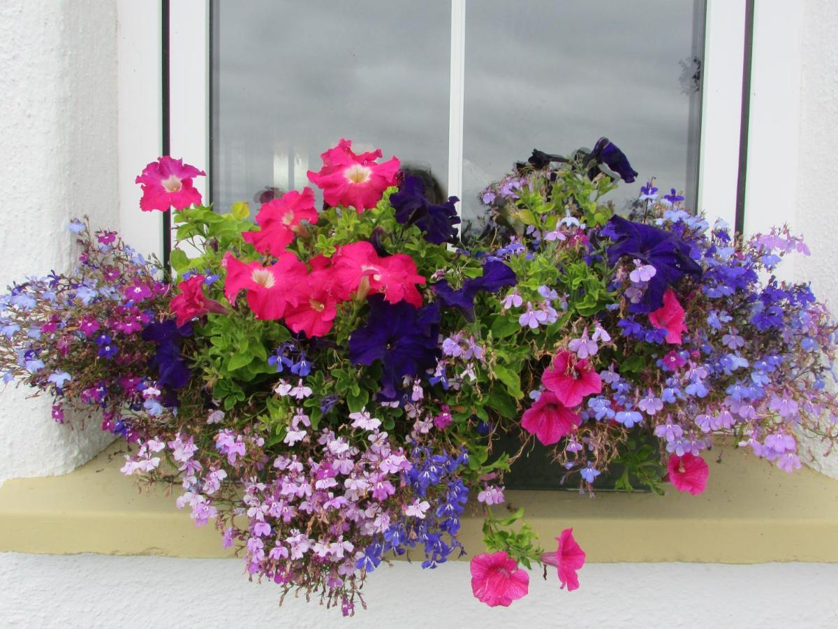 Breacan Cottage B&B Kinvara Exteriér fotografie