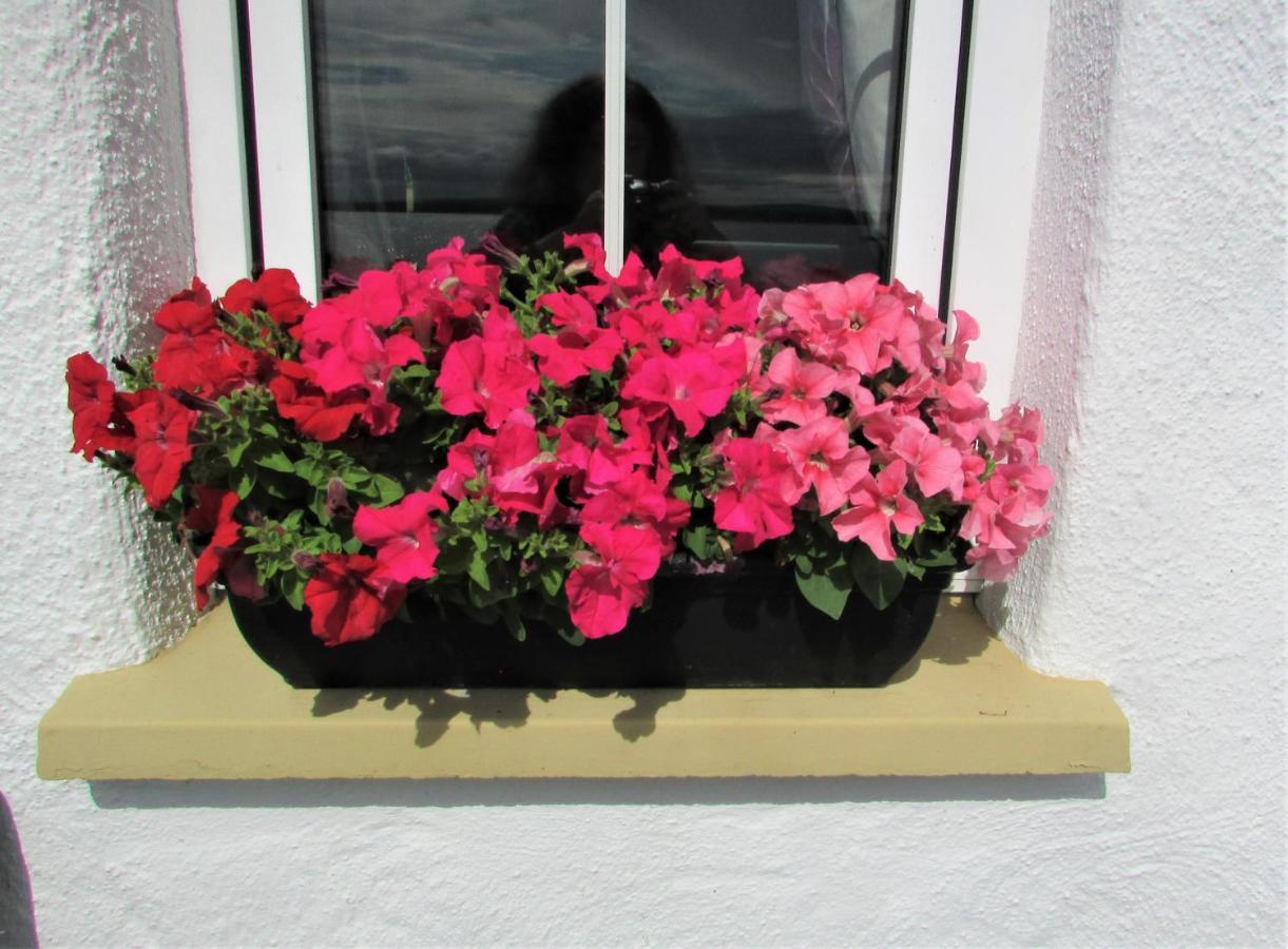 Breacan Cottage B&B Kinvara Exteriér fotografie